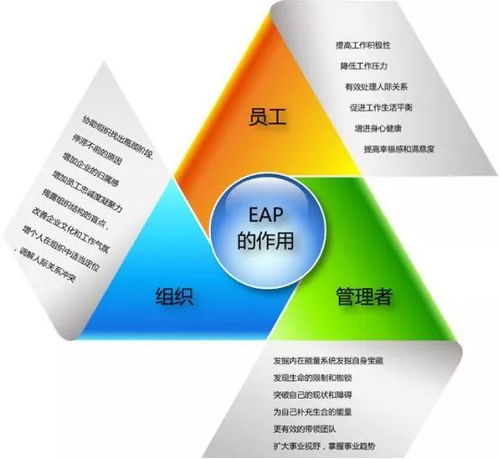 如何有效實施企業EAP項目管理師培訓工作坊